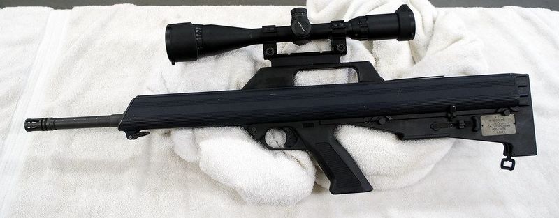 Bushmaster M17S (COLD WAR, MODERN) Bushmaster M17S