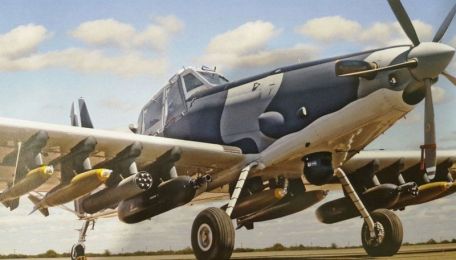 Air Tractor OA-8 Longsword (MODERN AIRCRAFT) Air Tractor OA-8 Longsword