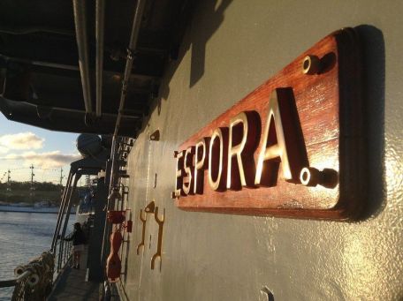 ARA Espora (P-41) (COLD WAR, MODERN NAVY) ARA Espora (P-41)