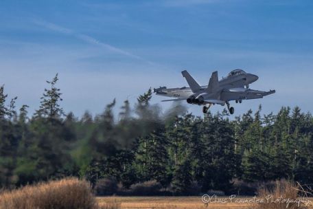 Boeing EA-18G Growler (MODERN AIRCRAFT) Boeing EA-18G Growler