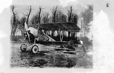 Euler D.II (WORLD WAR 1) Euler D.II
