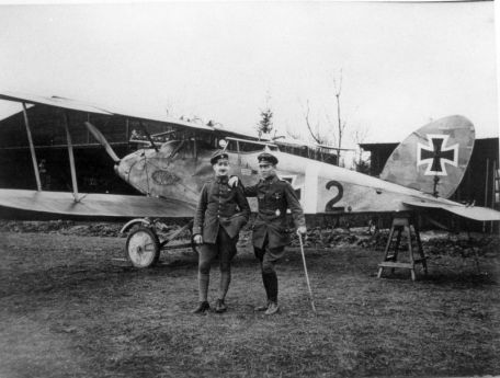 Halberstadt CL.II (WORLD WAR 1) Halberstadt CL.II