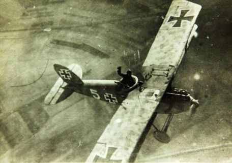 Halberstadt CL.II (WORLD WAR 1) Halberstadt CL.II