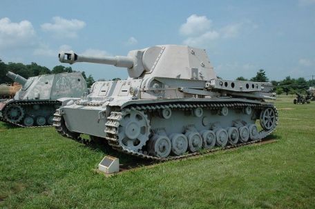 Heuschrecke 10