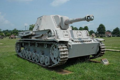 Heuschrecke 10