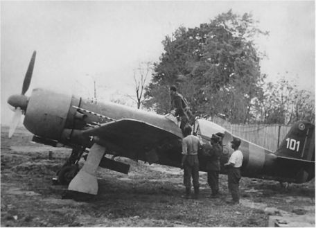 IAR 80 / IAR 81 (COLD WAR, WORLD WAR 2) IAR 80 / IAR 81