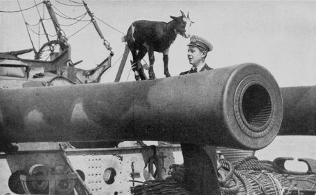 Ordnance BL 12-inch Gun Mk IX