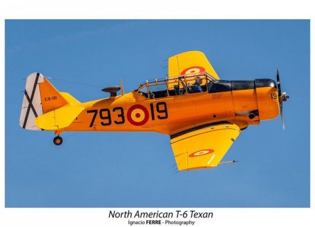 North American T-6 Texan