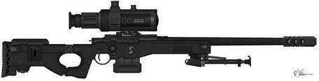 Accuracy International AWM (Arctic Warfare Magnum)