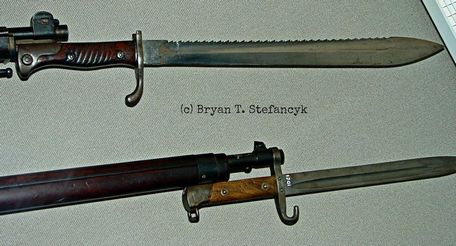 Mannlicher Model 1895