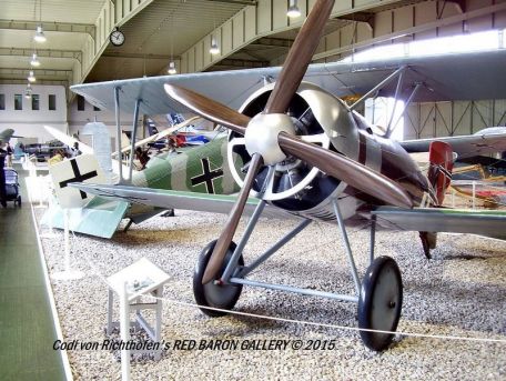 Siemens-Schuckert D.III (WORLD WAR 1) Siemens-Schuckert D.III